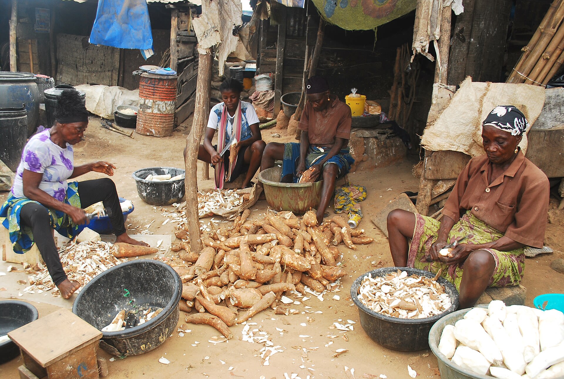 Fresh & Frozen Cassava