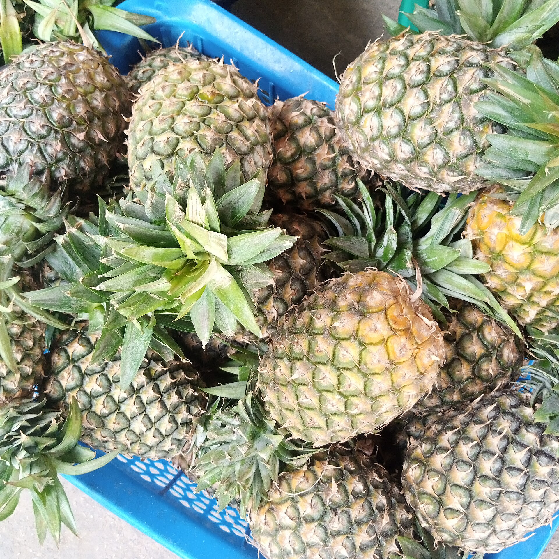 Pineapple & Passion Fruit