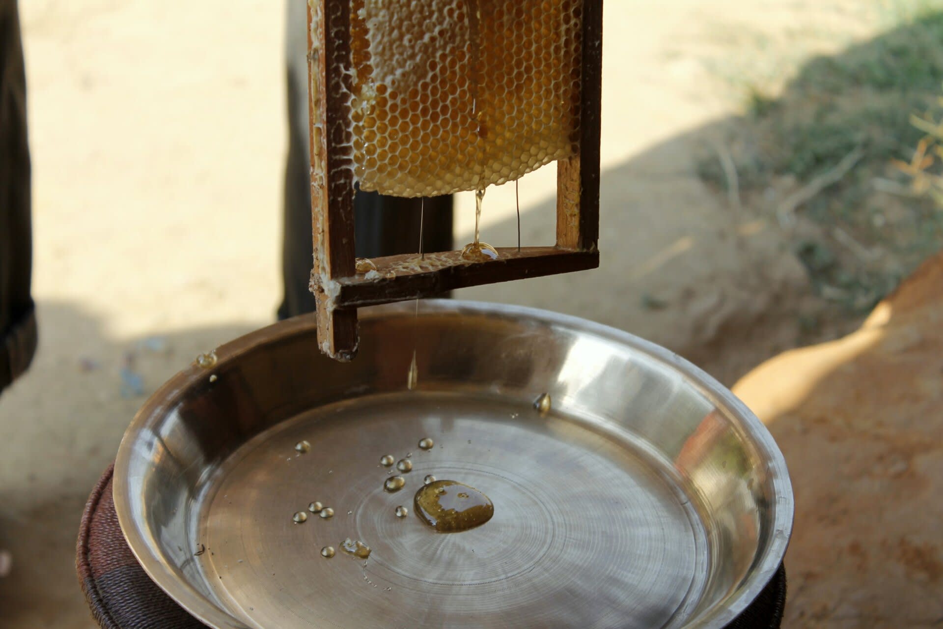 Extracting honey