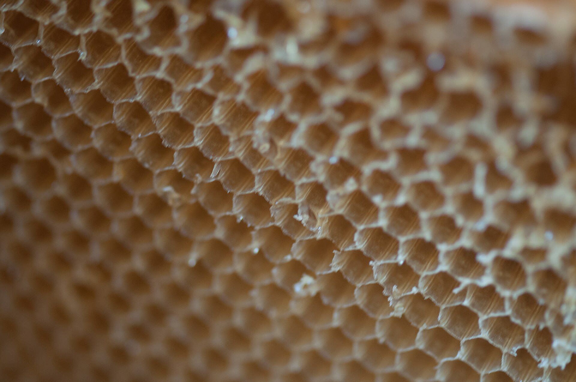 Honeycomb