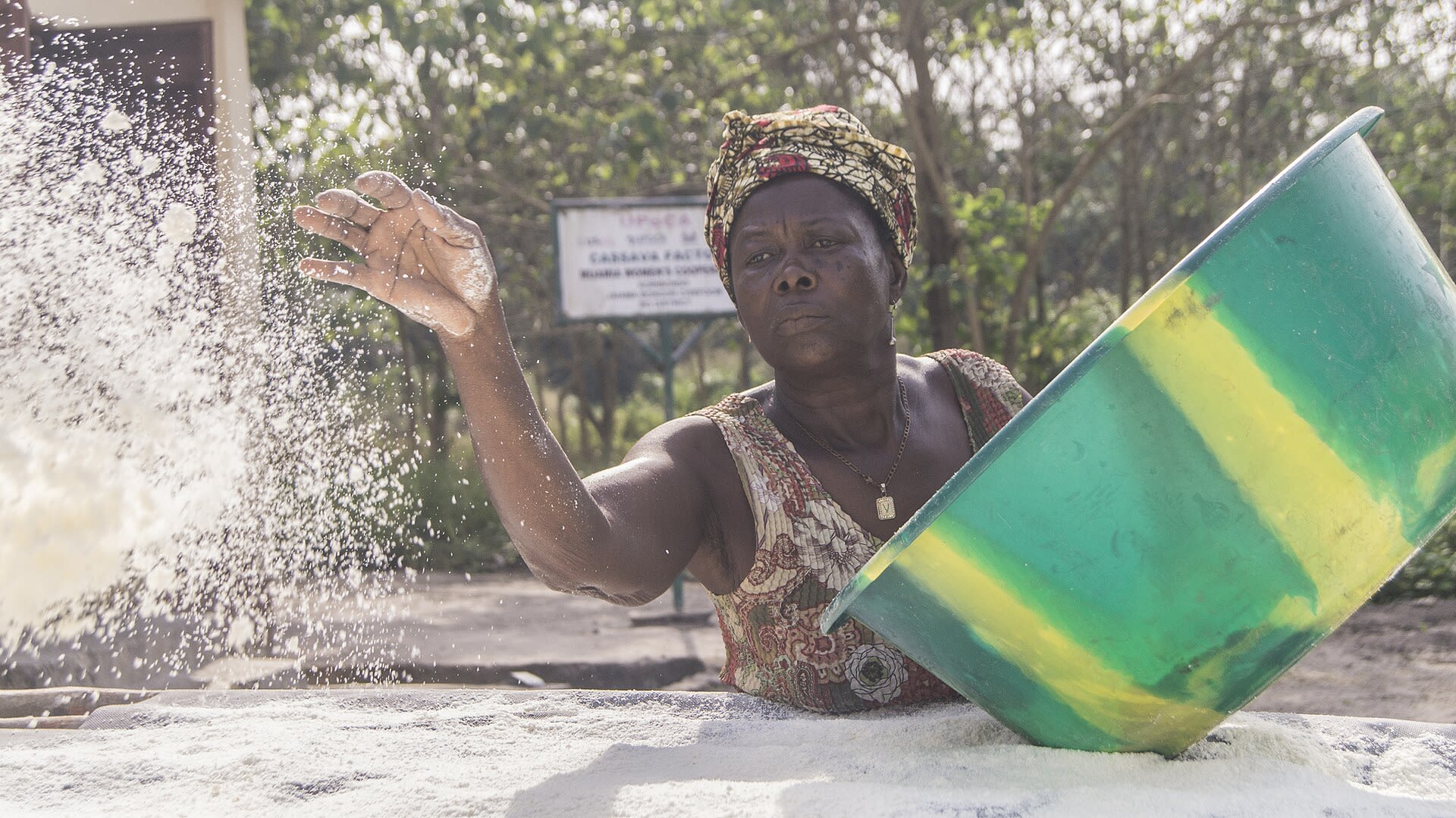 Sifting fresh flour
