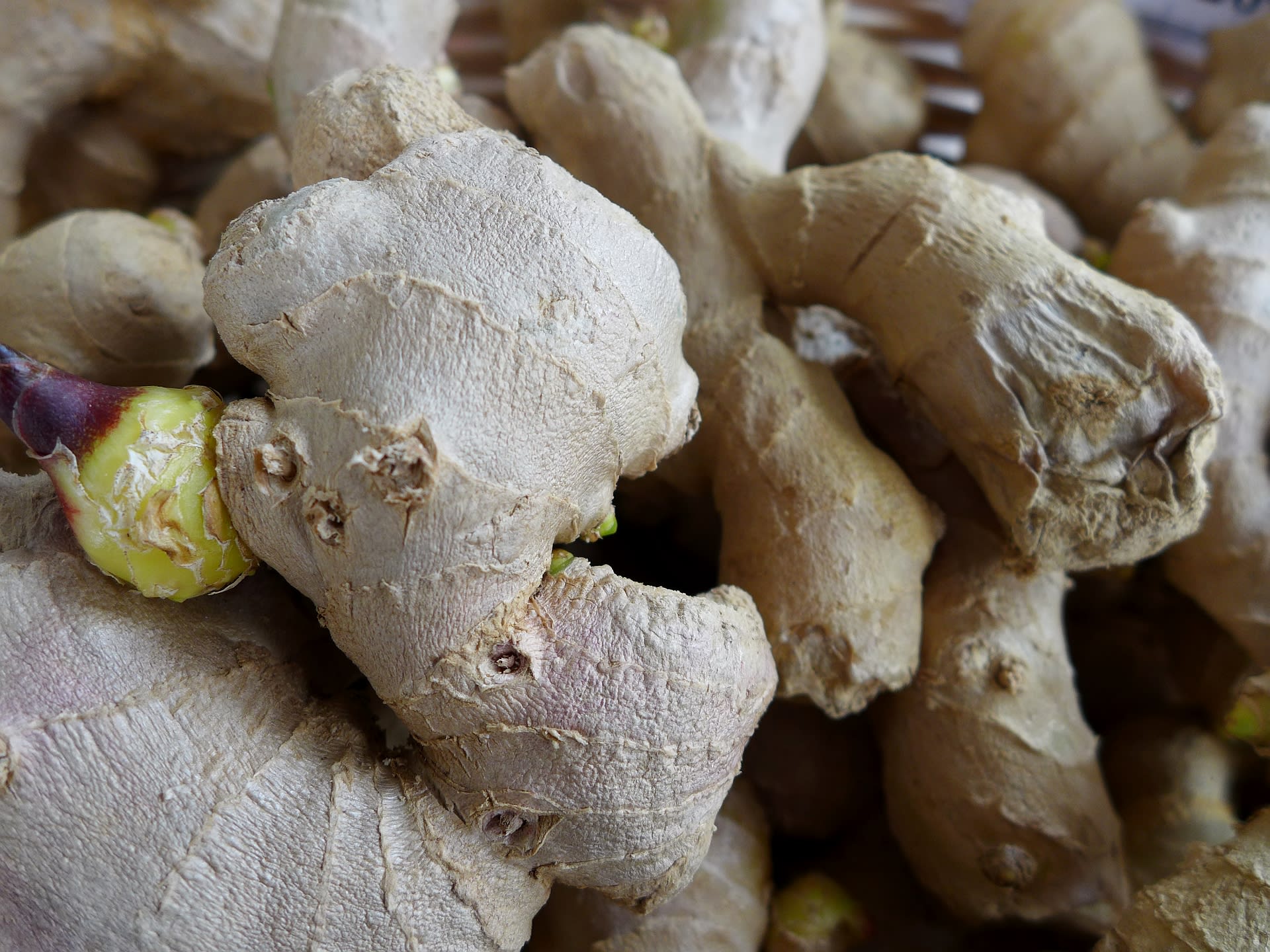 Fresh ginger root